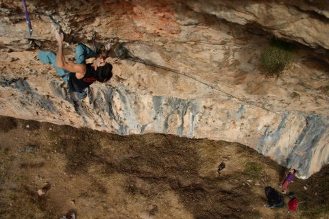    Seleci o Natural , 9a - Santa Linya