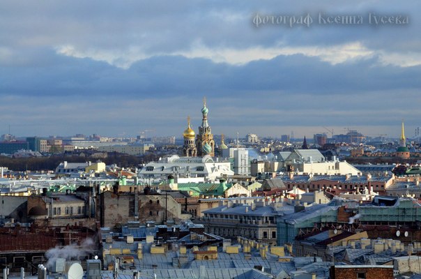 C:\Users\Алексей\Desktop\отчет\SXb_YlhCiew.jpg