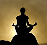 Buddah cup