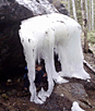 ����������� � �������. �������� ��������� + ...