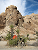 Zion Women Climbing Fest
