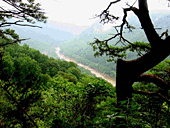 New River Gorge